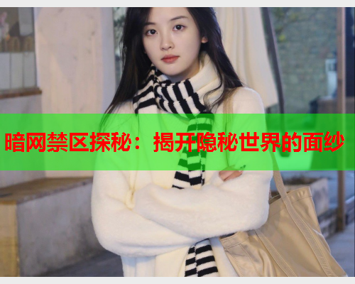 暗网禁区探秘：揭开隐秘世界的面纱