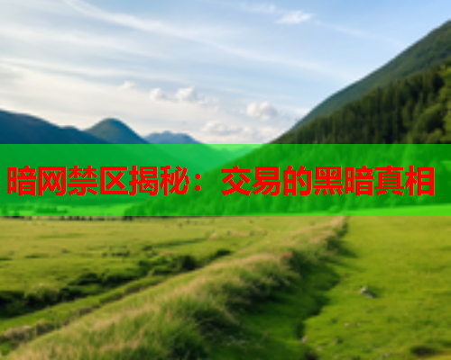 暗网禁区揭秘：交易的黑暗真相