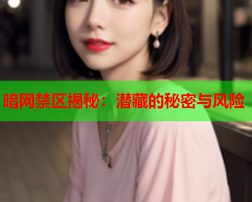 暗网禁区揭秘：潜藏的秘密与风险