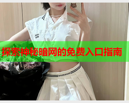 探索神秘暗网的免费入口指南