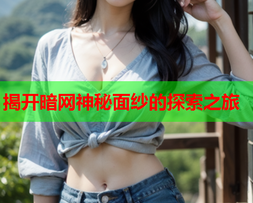 揭开暗网神秘面纱的探索之旅