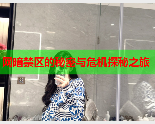 网暗禁区的秘密与危机探秘之旅