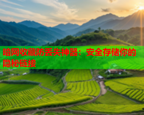 暗网收藏防丢失神器：安全存储你的隐秘链接