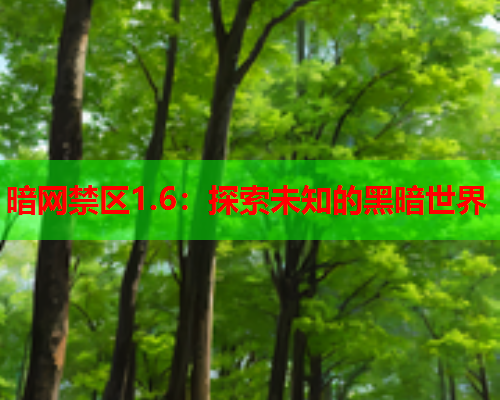 暗网禁区1.6：探索未知的黑暗世界