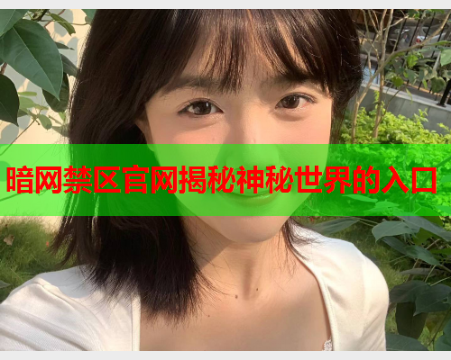暗网禁区官网揭秘神秘世界的入口