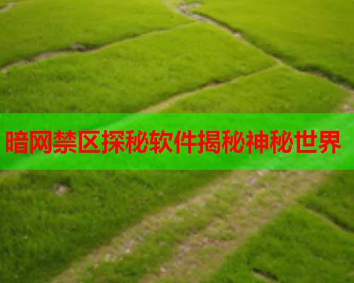 暗网禁区探秘软件揭秘神秘世界