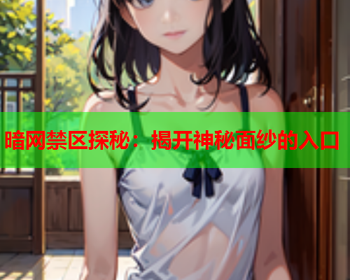 暗网禁区探秘：揭开神秘面纱的入口