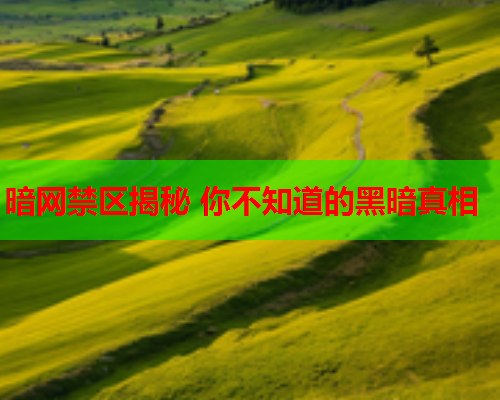 暗网禁区揭秘 你不知道的黑暗真相