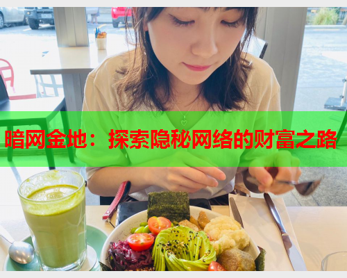 暗网金地：探索隐秘网络的财富之路