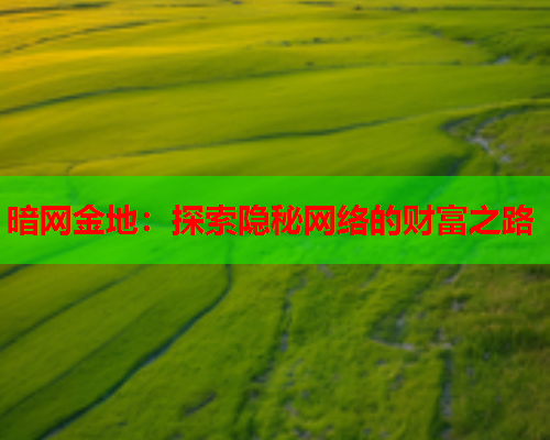 暗网金地：探索隐秘网络的财富之路