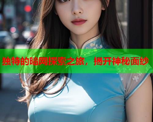 独特的暗网探索之旅，揭开神秘面纱