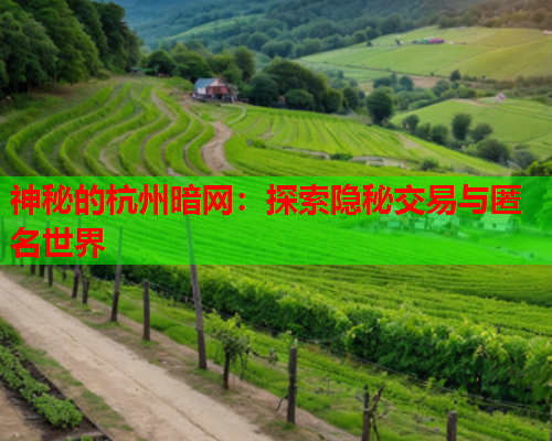 神秘的杭州暗网：探索隐秘交易与匿名世界