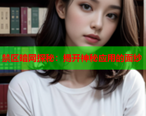禁区暗网探秘：揭开神秘应用的面纱