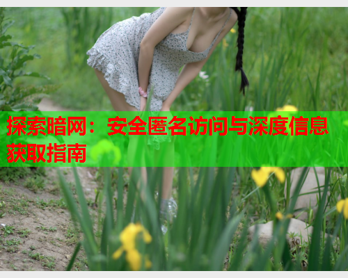 探索暗网：安全匿名访问与深度信息获取指南