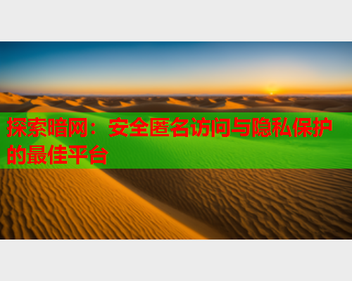 探索暗网：安全匿名访问与隐私保护的最佳平台
