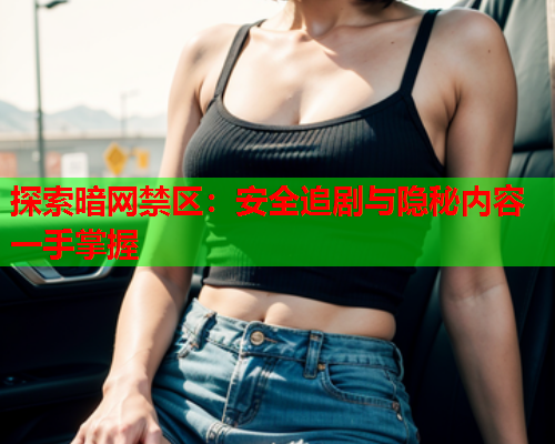 探索暗网禁区：安全追剧与隐秘内容一手掌握