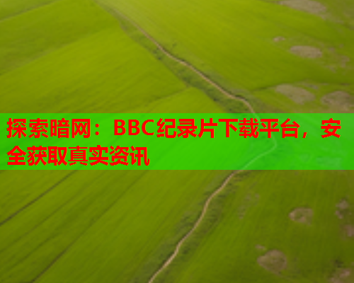 探索暗网：BBC纪录片下载平台，安全获取真实资讯