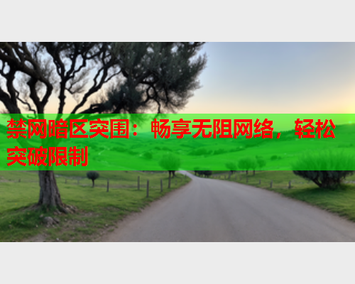 禁网暗区突围：畅享无阻网络，轻松突破限制